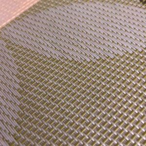 Meet your Posher, Samaira